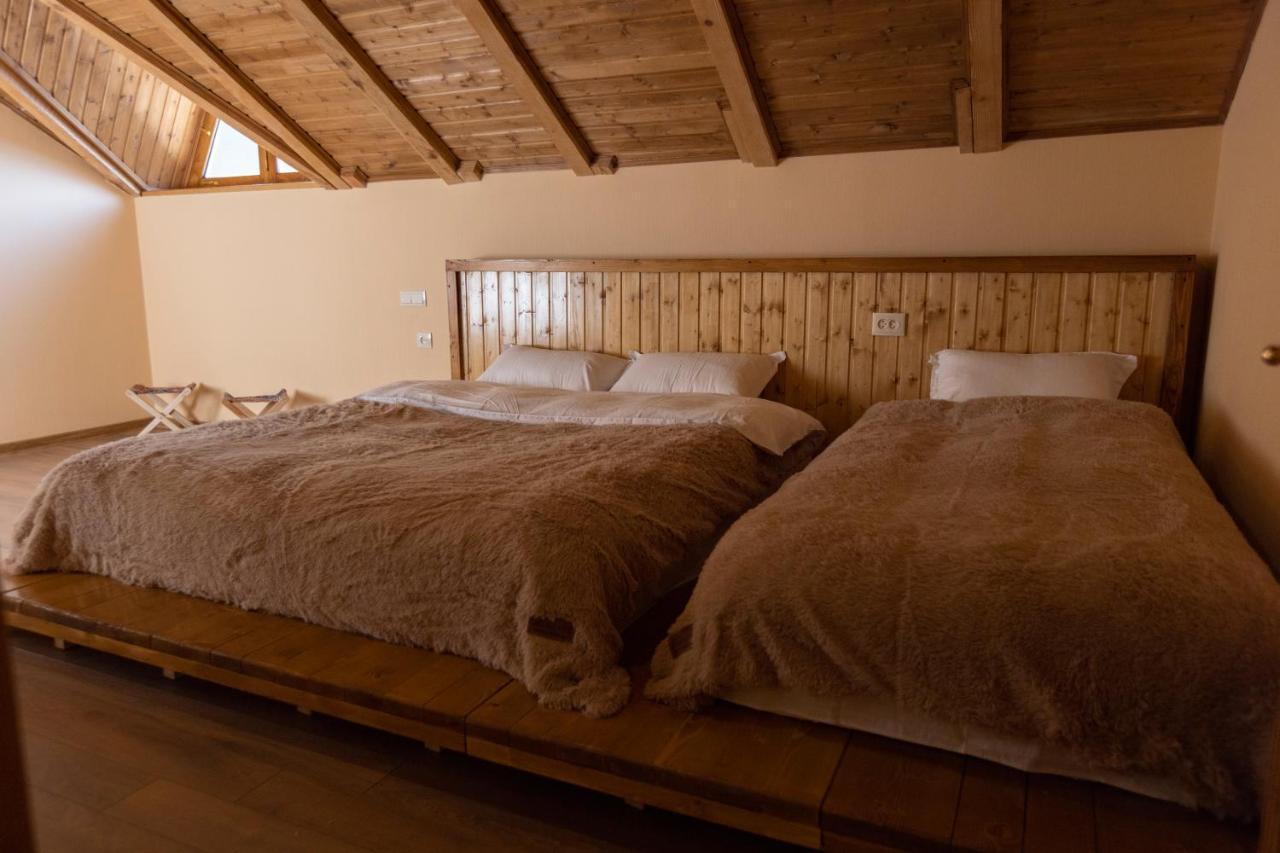 Graf Kazbegi Hotel Buitenkant foto